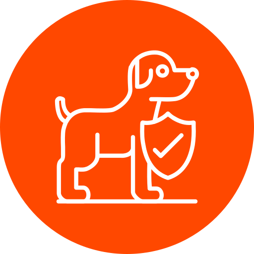 pet-insurance_9880249